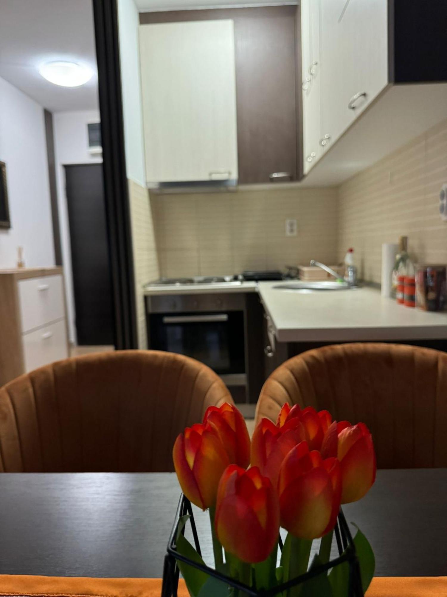 Stan Na Dan Aurora Apartment Pozarevac Bagian luar foto