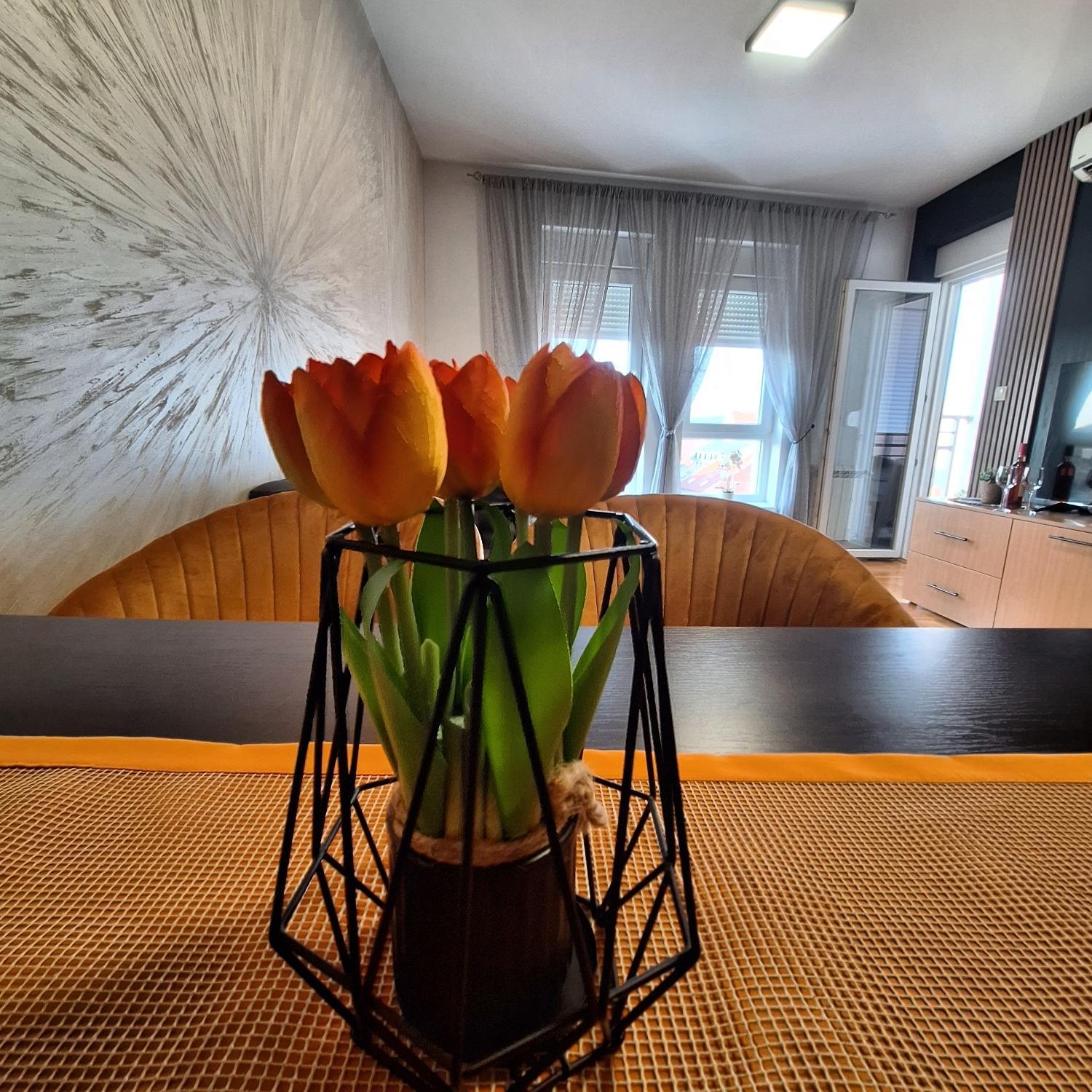Stan Na Dan Aurora Apartment Pozarevac Bagian luar foto