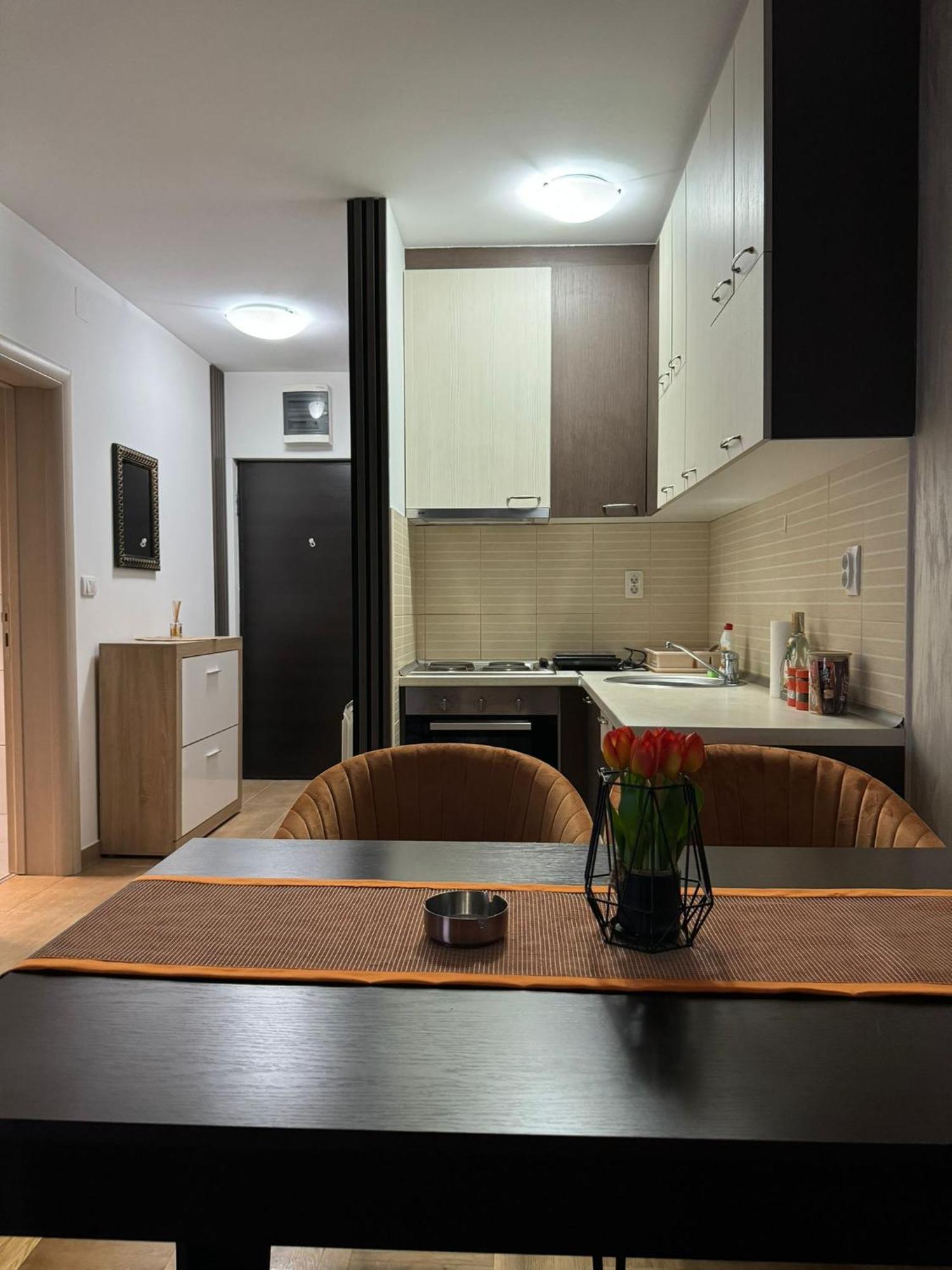 Stan Na Dan Aurora Apartment Pozarevac Bagian luar foto