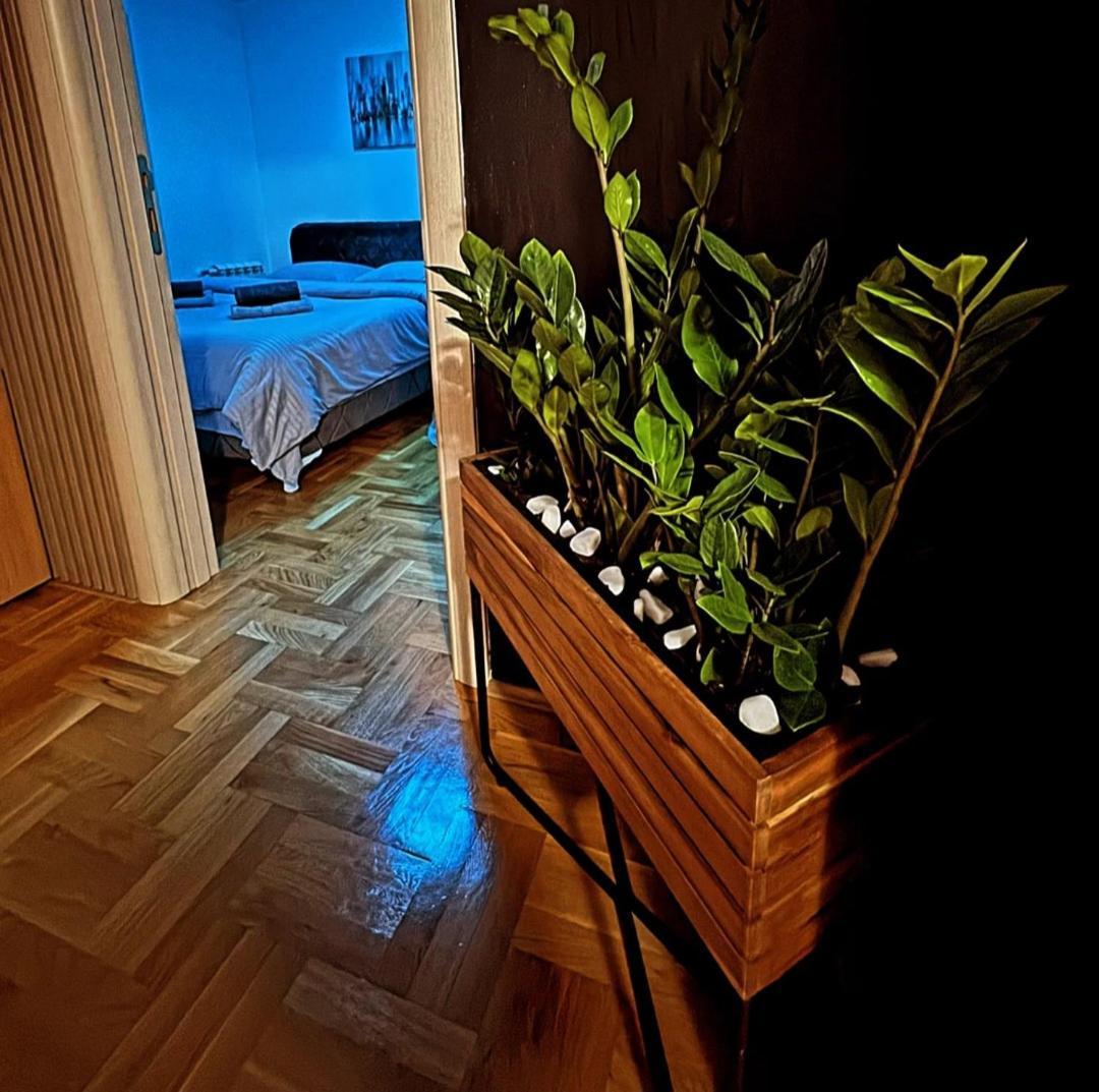Stan Na Dan Aurora Apartment Pozarevac Bagian luar foto