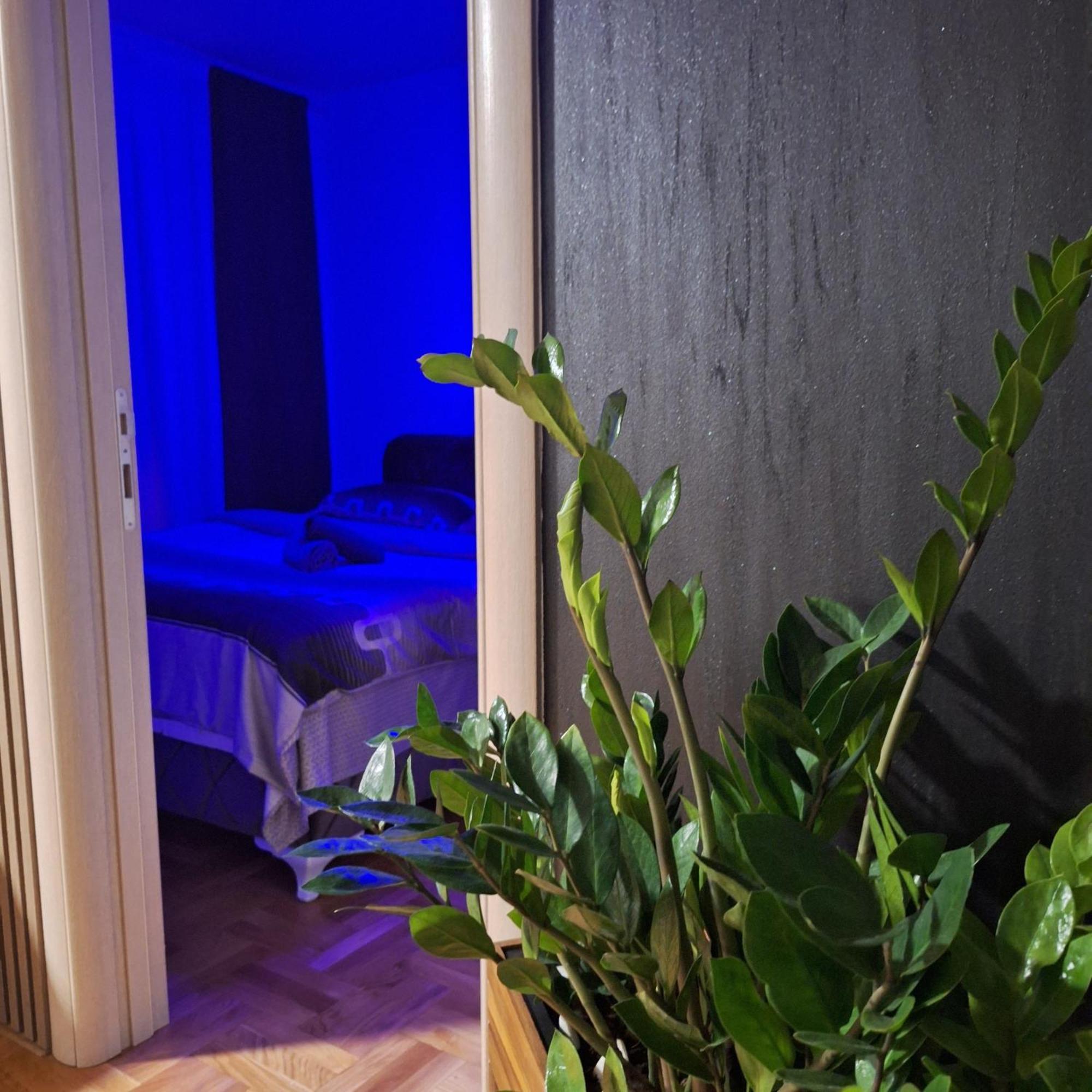 Stan Na Dan Aurora Apartment Pozarevac Bagian luar foto