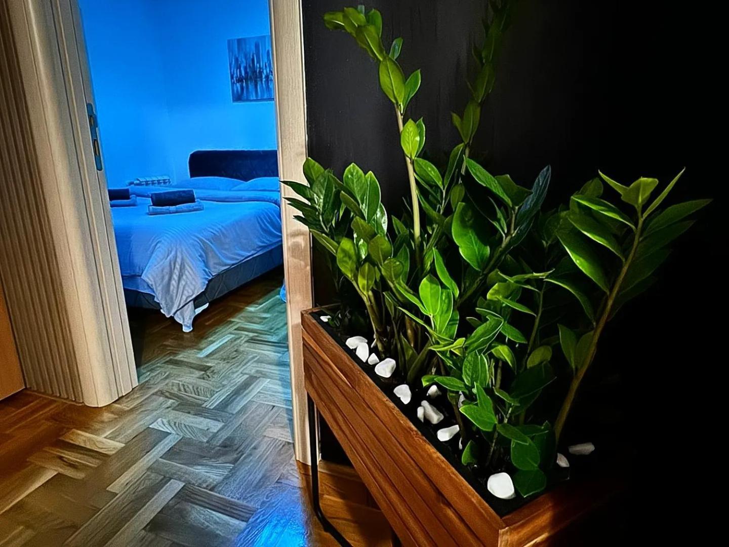 Stan Na Dan Aurora Apartment Pozarevac Bagian luar foto